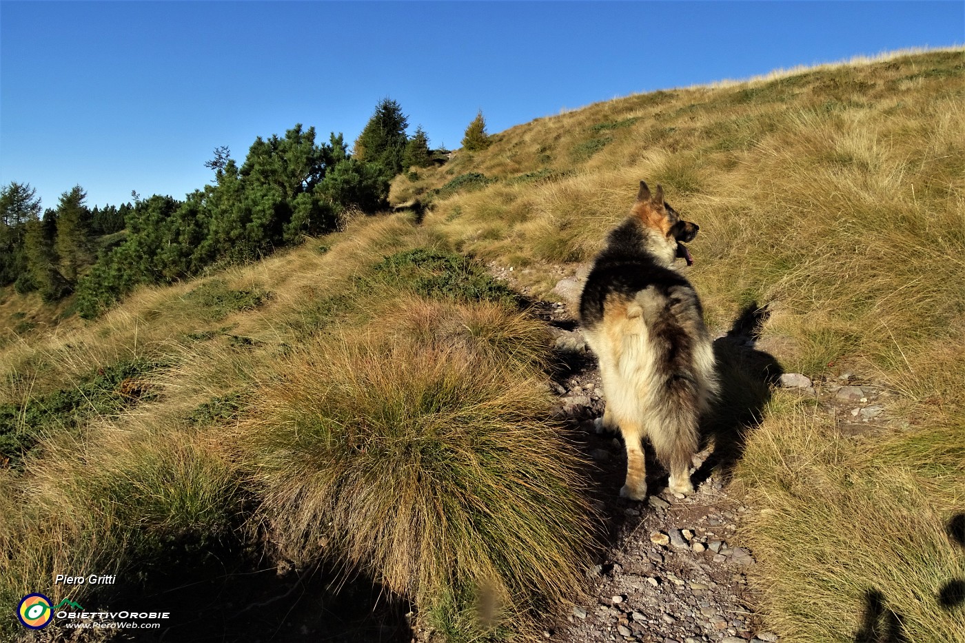 14 Color giallo-oro l'erba ormai secca degli estesi pratoni del Monte Campo .JPG